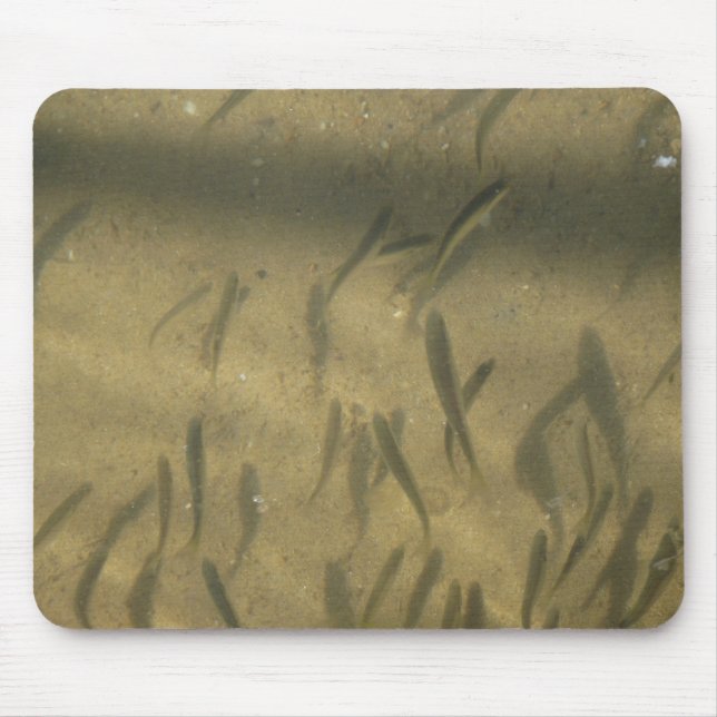 a fishy story mouse mat (Front)