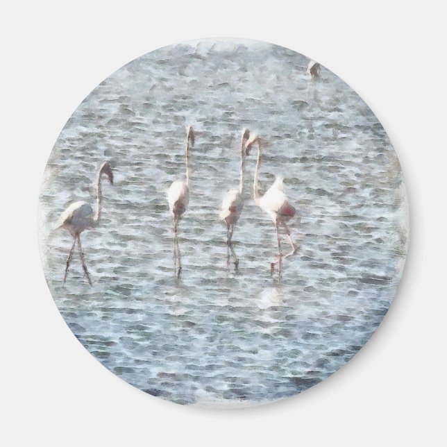 A Flamboyant Pat Of Flamingos Magnet (Front)