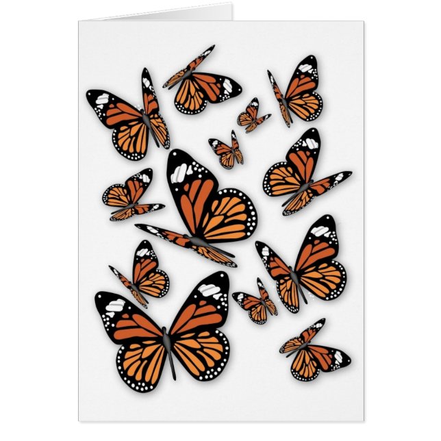 A Flight of Butterflies (Front)