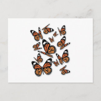 A Flight of Butterflies Postcard