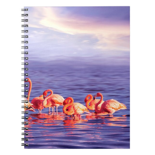 A flock of beautiful pink flamingos against a purp notebook (Front)