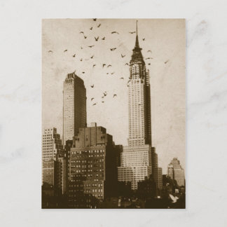 A flock of birds flying postcard