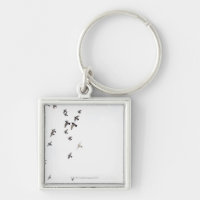 A flock of birds is flying at the sky