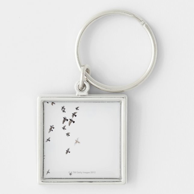 A flock of birds is flying at the sky key ring (Front)
