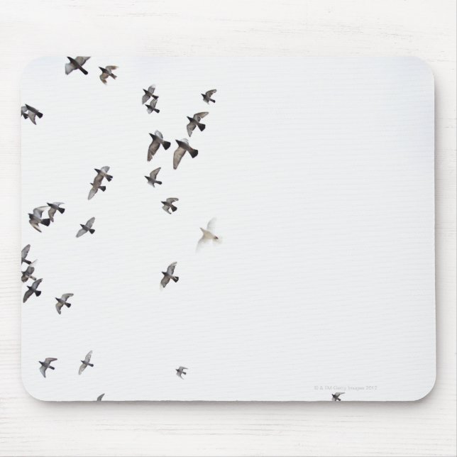 A flock of birds is flying at the sky mouse mat (Front)