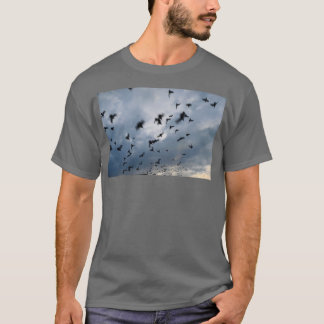 A flock of pigeons at sunrise T-Shirt
