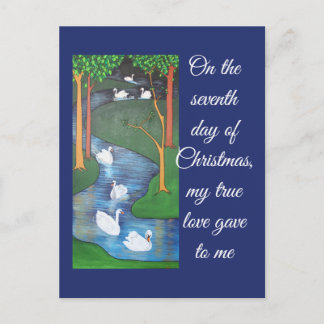 A Flock of Seven Swans-A-Swimming Postcard