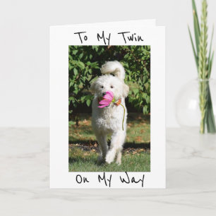 A FLOWER AND BIRTHDAY WISH FOR MY ***TWIN*** CARD