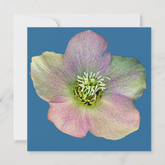 A flower holiday card