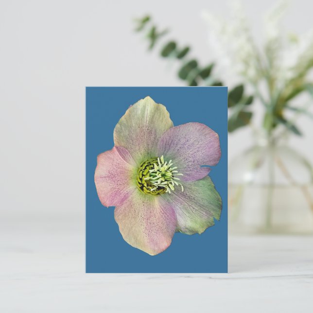 A flower postcard (Standing Front)