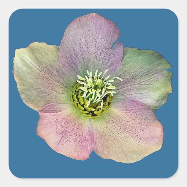 A flower square sticker (Front)