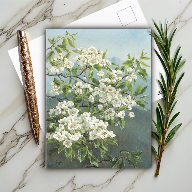A Flowering Pear Tree, Christensen 1891  Postcard (Creator Uploaded)