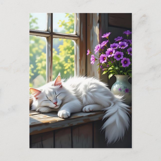 A Fluffy White Cat Napping on the Window Sill Postcard (Front)