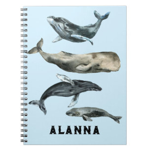 A flurry of whales notebook