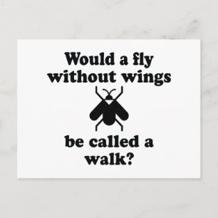 A Fly Without Wings Postcard