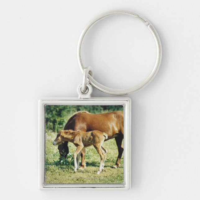 A foal and a horse in a pasture. key ring (Front)