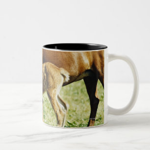 A foal and a horse in a pasture. Two-Tone coffee mug