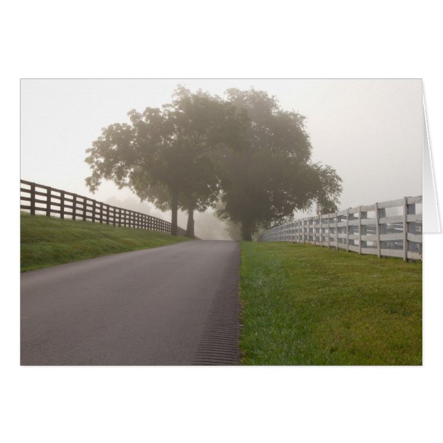 A Foggy Bluegrass Morning (Front Horizontal)