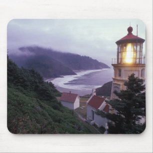 A foggy day on the Oregon coast at the Heceta Mouse Mat