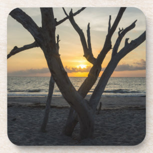 A Folly Sunrise Coaster