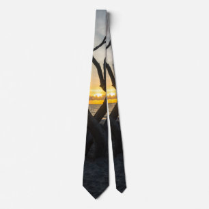 A Folly Sunrise Neck Tie