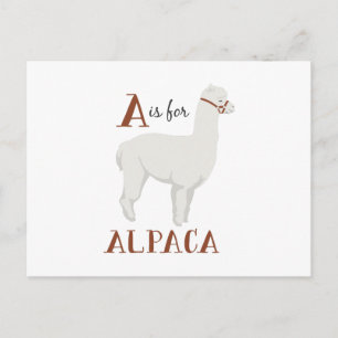 A For Alpaca Postcard