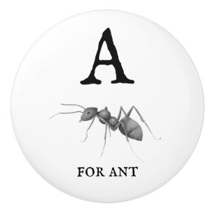 "A" for Ant Ceramic Knob