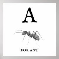 "A" for Ant