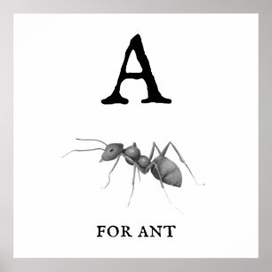 "A" for Ant Poster