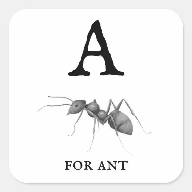 "A" for Ant  Square Sticker (Front)