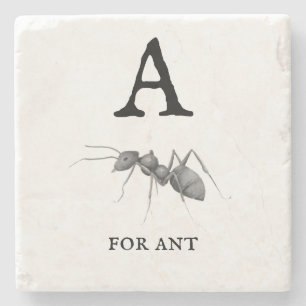 "A" for Ant Stone Coaster