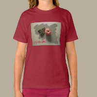 A for Apple photographic