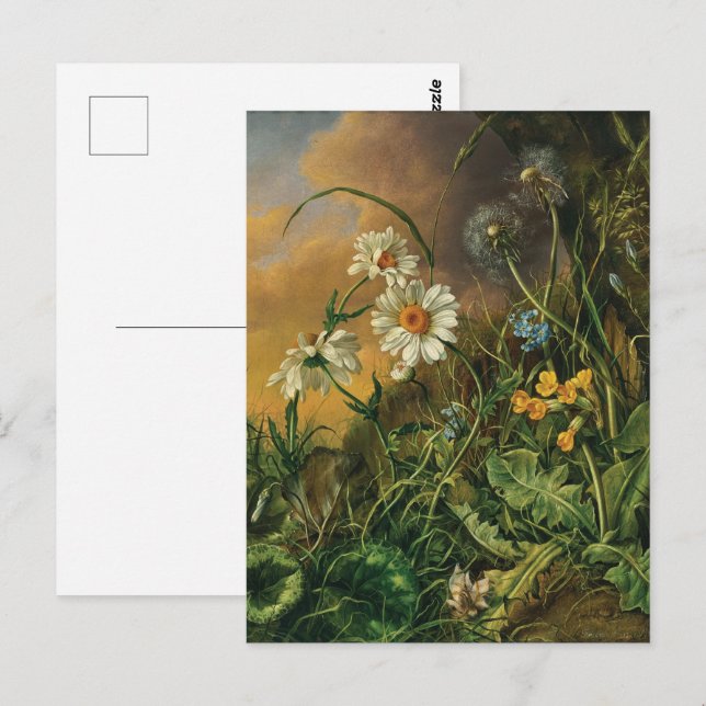 A Forest Floor with Daisies, Primroses, ... Postcard (Front/Back)