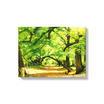 A Forest Path, Robin Hood Forest