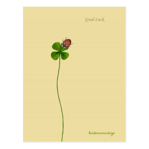 Image of A Four clover and a ladybug to wish Good Luck Postcard