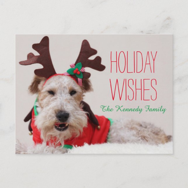 A fox terrier is dressed up for Christmas Holiday Postcard (Front)