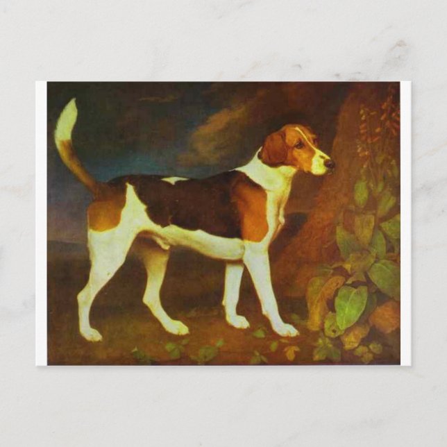 A Foxhound, Ringwod by George Stubbs Postcard (Front)