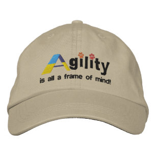 A-Frame of Mind Embroidered Hat