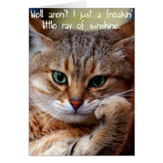 A Freakin' Ray of Sunshine