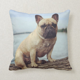 A French Bulldog Cushion
