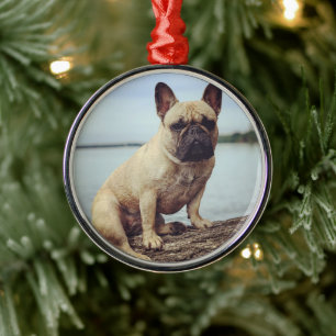 A French Bulldog Metal Tree Decoration