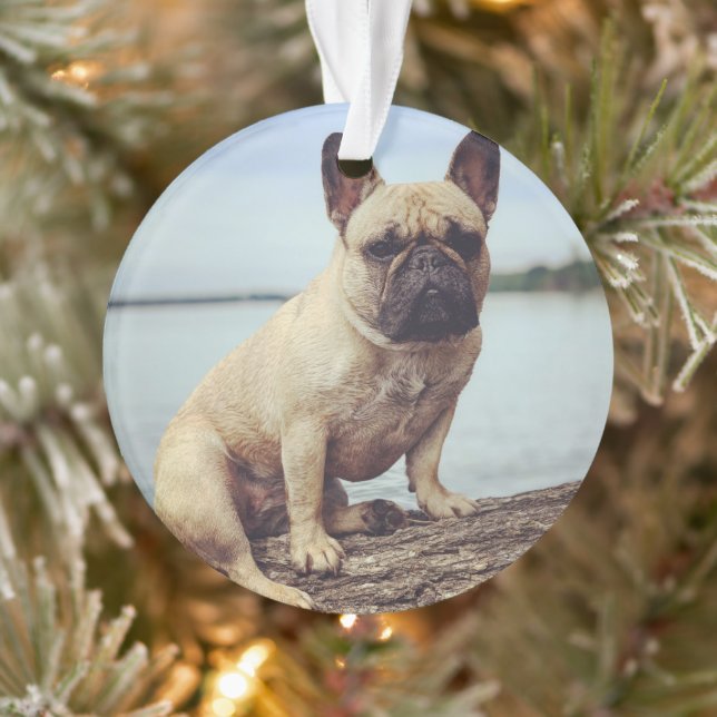 A French Bulldog Ornament (Tree)