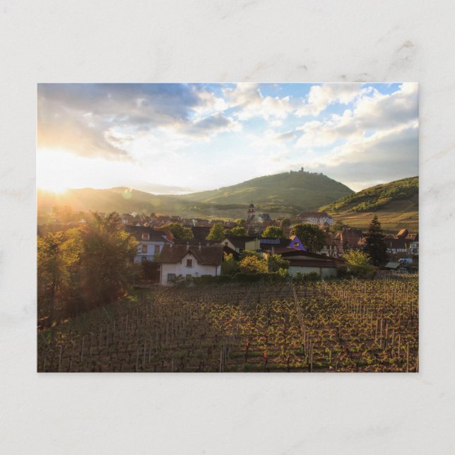 A French wine village in the afternoon light Postcard (Front)