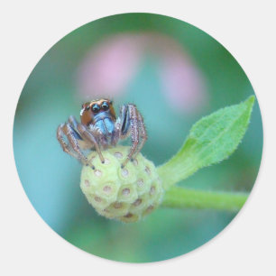 A Friend for Jumping Jack! Classic Round Sticker