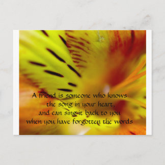 A friend is someone who knows the son... postcard