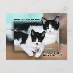 A Friend Who Sticks Closer Postcard