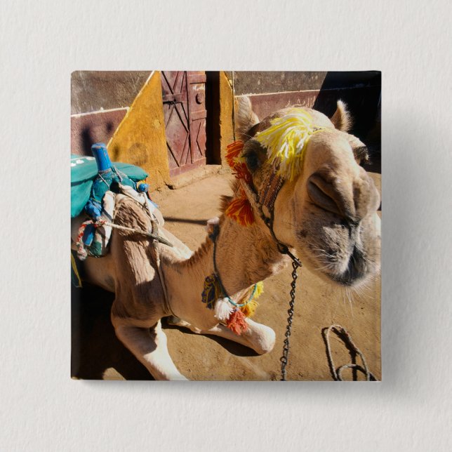 A friendly camel awaits its next rider, Cairo, 15 Cm Square Badge (Front)