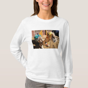 A friendly camel awaits its next rider, Cairo, T-Shirt