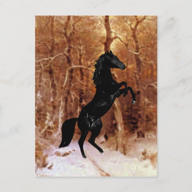 A friesian in winter snow postcard (Front)