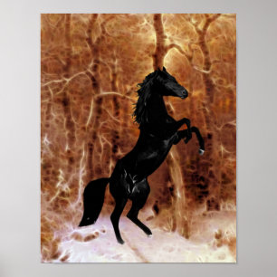 A friesian in winter snow poster